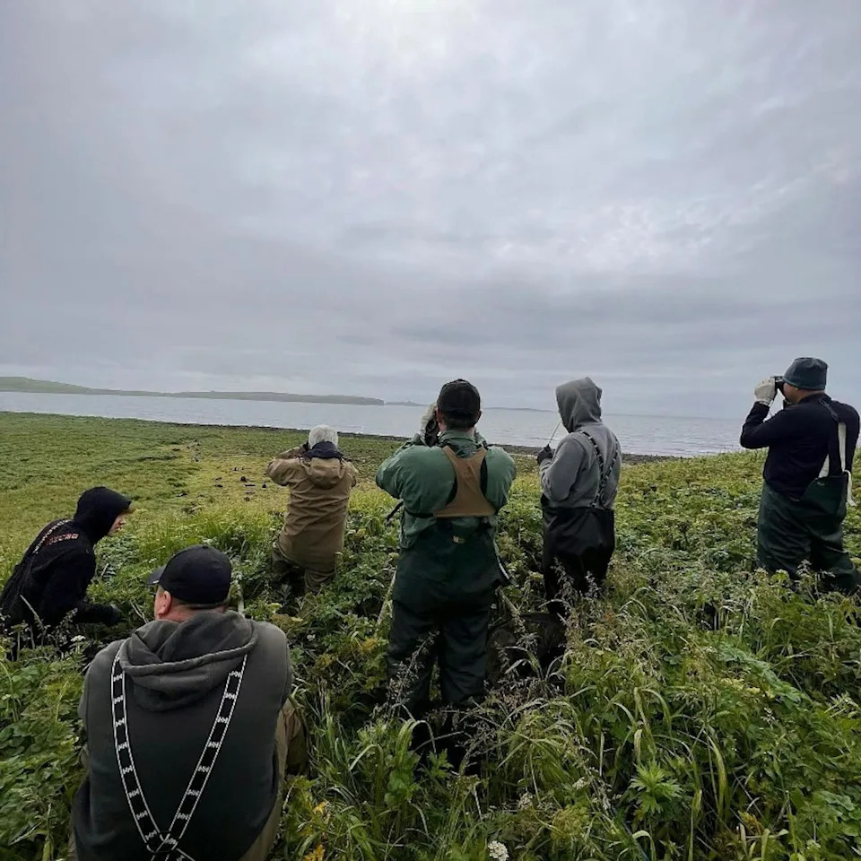 A group of people with binoculars watch the water.