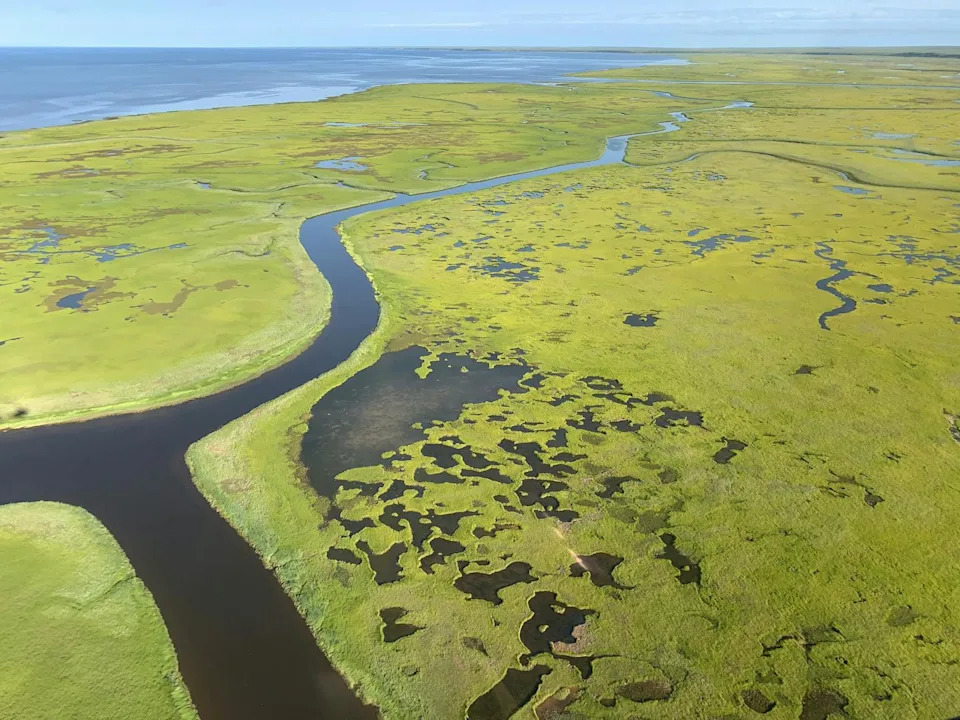 An aerial view of green land dotted with lakes and a river.