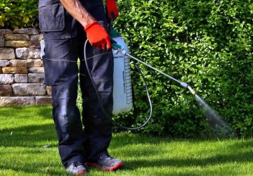 Bother Control Administrations for 2024: Decide for Your Home
